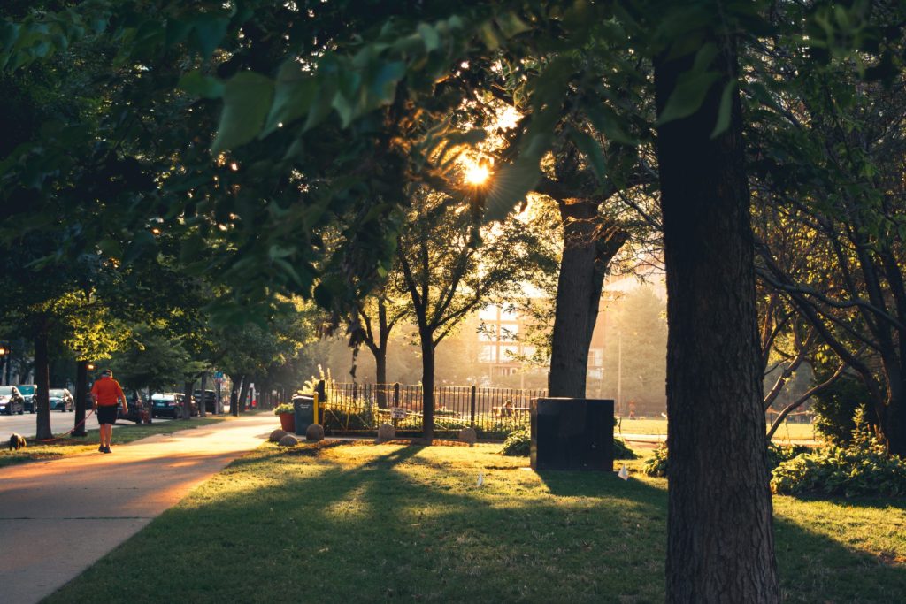 parco cittadino