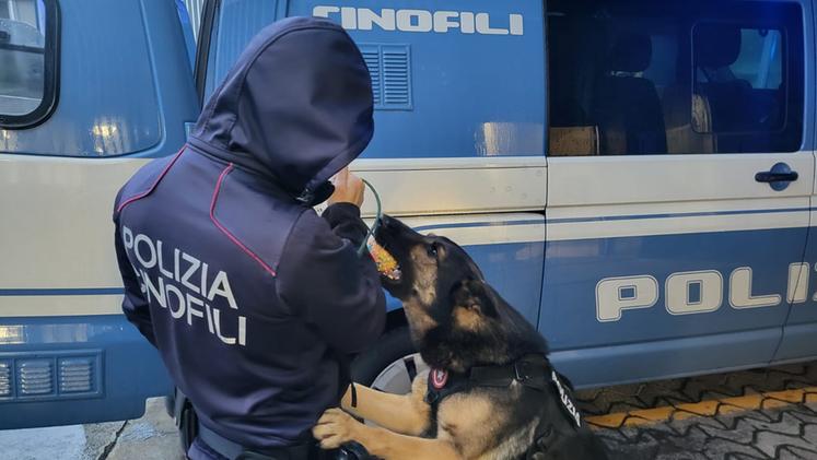 Polizia