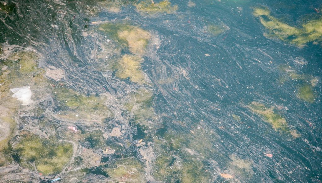 Fiume