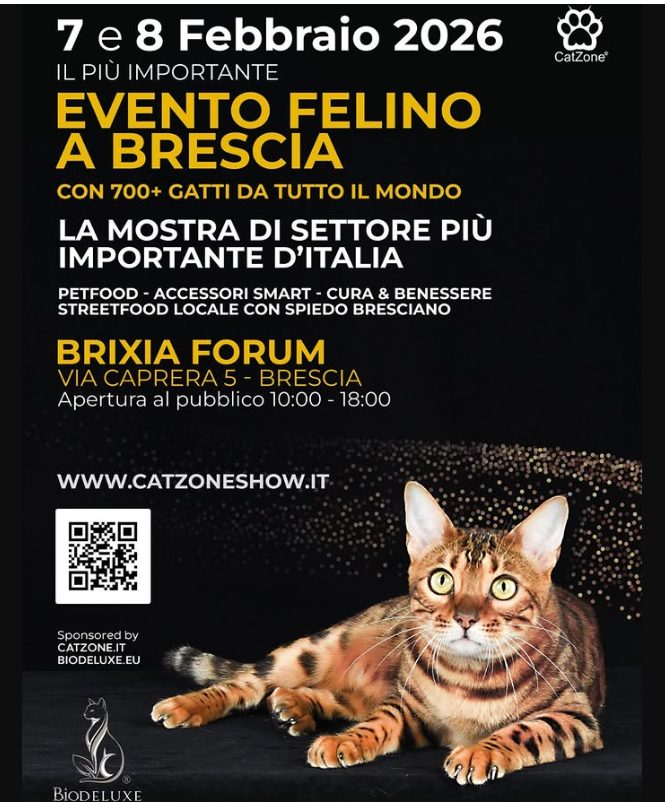 Cat Zone Show