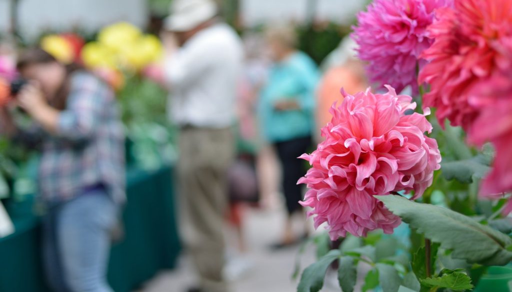mostra di fiori