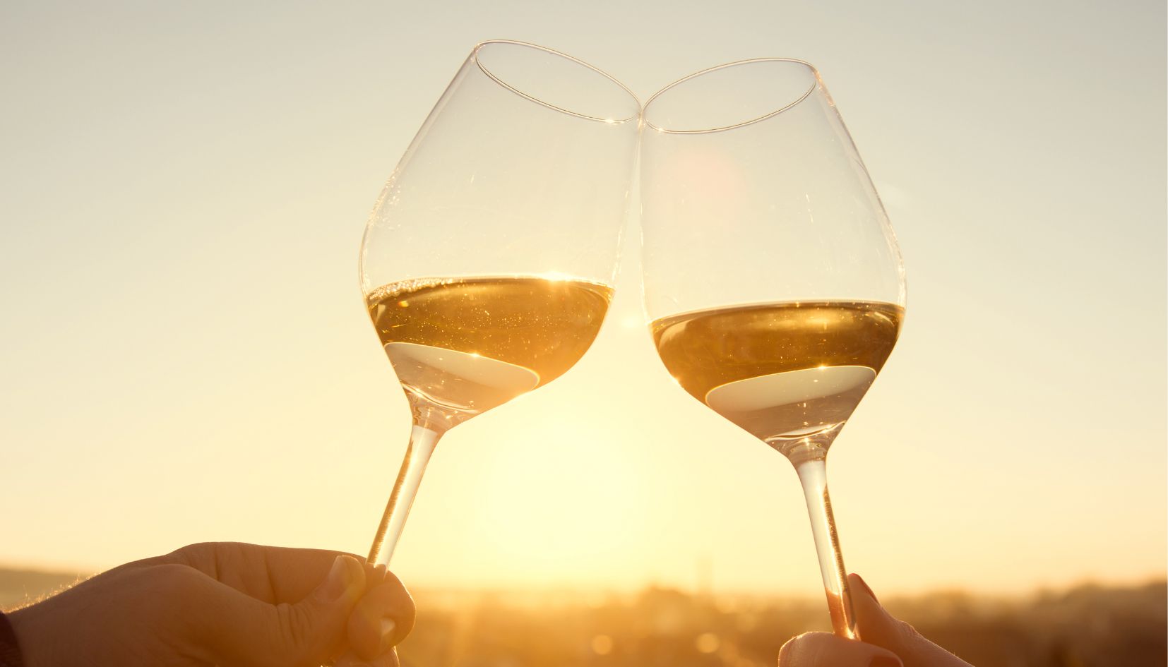 degustazione vino