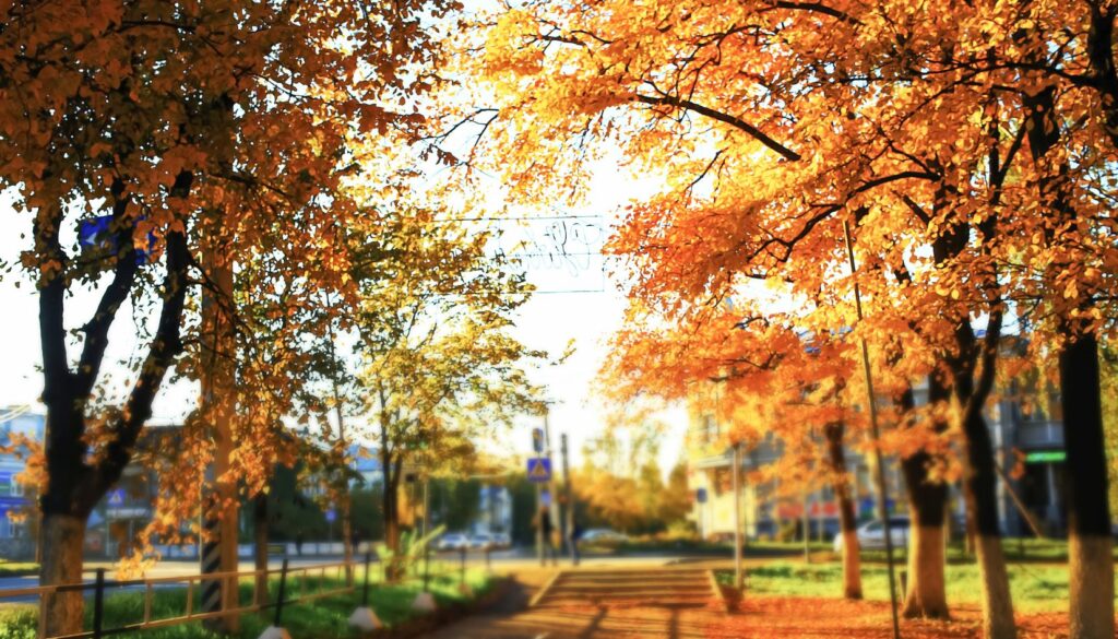 autunno di sole