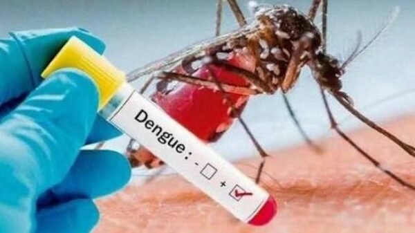 Dengue - Zanzara